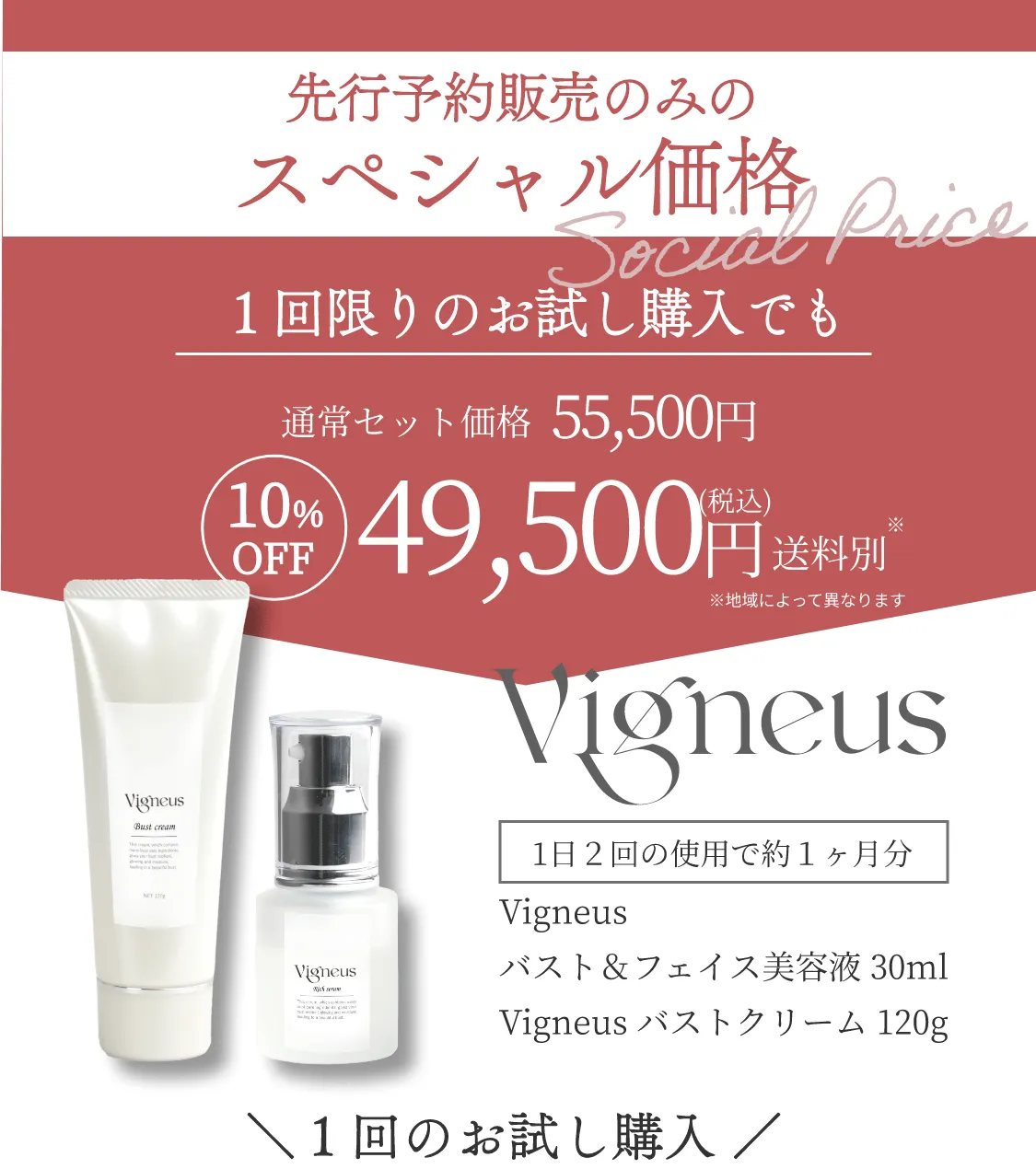 バスト美容液＆クリームセットVigneus