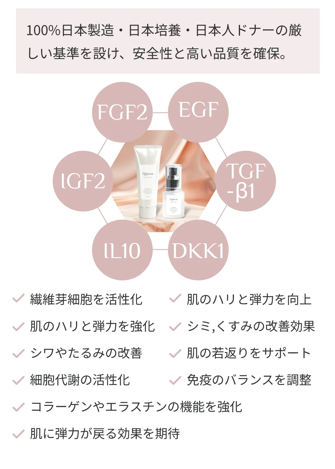 バスト美容液＆クリームセットVigneus